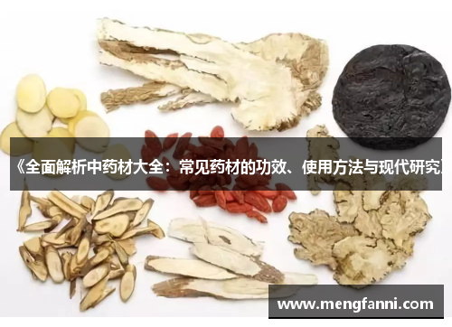 《全面解析中药材大全：常见药材的功效、使用方法与现代研究》