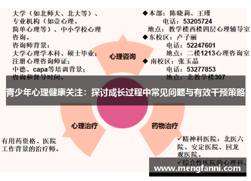 青少年心理健康关注：探讨成长过程中常见问题与有效干预策略