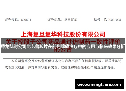 尊龙凯时公司比卡鲁胺片在前列腺癌治疗中的应用与临床效果分析