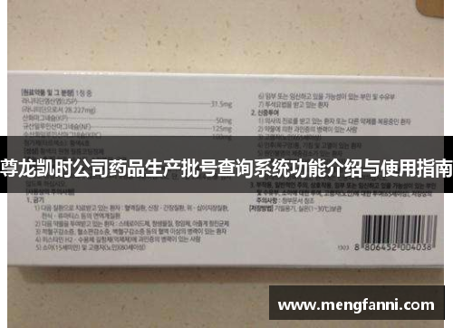 尊龙凯时公司药品生产批号查询系统功能介绍与使用指南