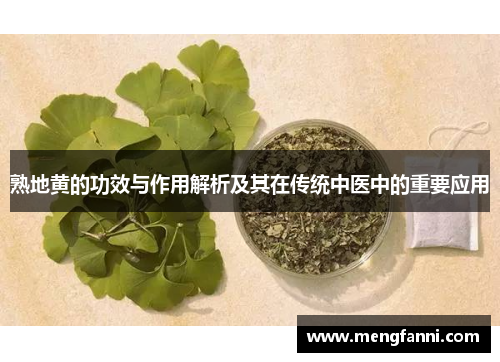 熟地黄的功效与作用解析及其在传统中医中的重要应用